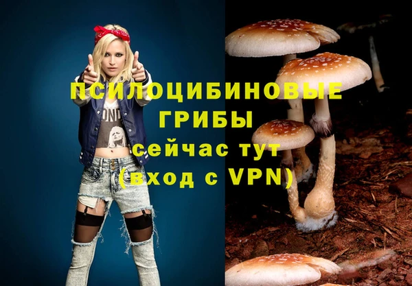 герыч Аркадак